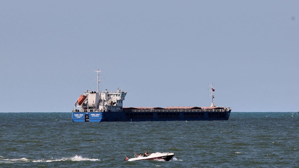 Turci nechali odplout ruskou loď s ukrajinským obilím, Kyjev zuří